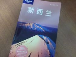 37-6_michikusa.JPG